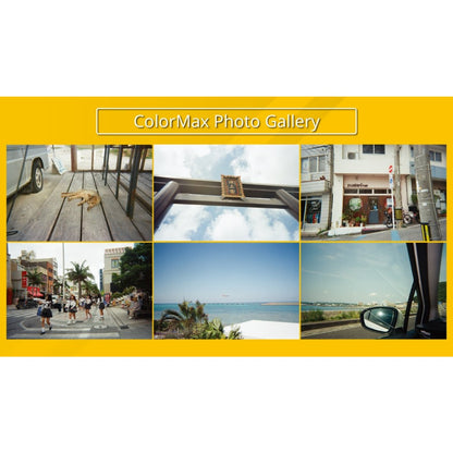 Kodak Professional 35mm Film Premium Set - ColorMax see-Thru Reusable 35mm Film Camera w Gold 200