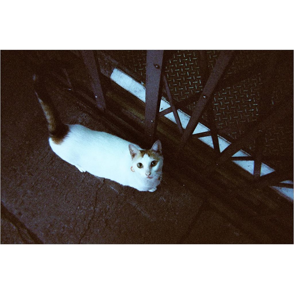 RETO Amber Tungsten 35mm Disposable Film Camera 27 Exposures