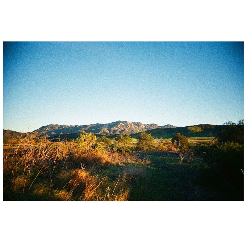 Kodak Ultramax 400 36 Exposures 3 Roll Pack