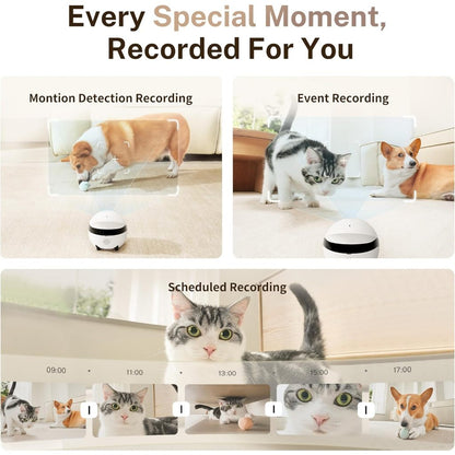 Enabot ROLA Mini 2K Camera Robot 2-Way Talk Night Vision Motion Detection video Recording